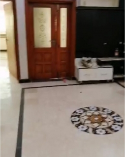 6 Marla House for Rent, Gulzar-e-Quaid Housing Society